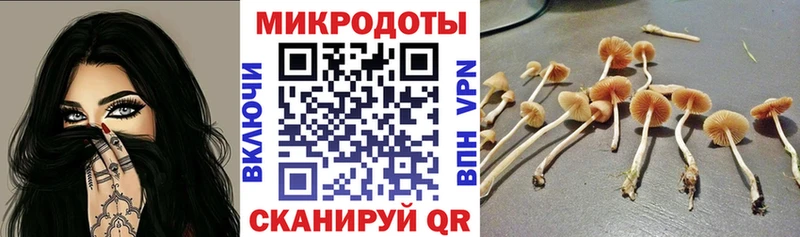 Псилоцибиновые грибы Magic Shrooms  как найти   Карабаново 